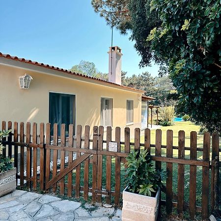 Villa Casa Girassol With A Beautiful Private Pool And Garden à Sintra Extérieur photo